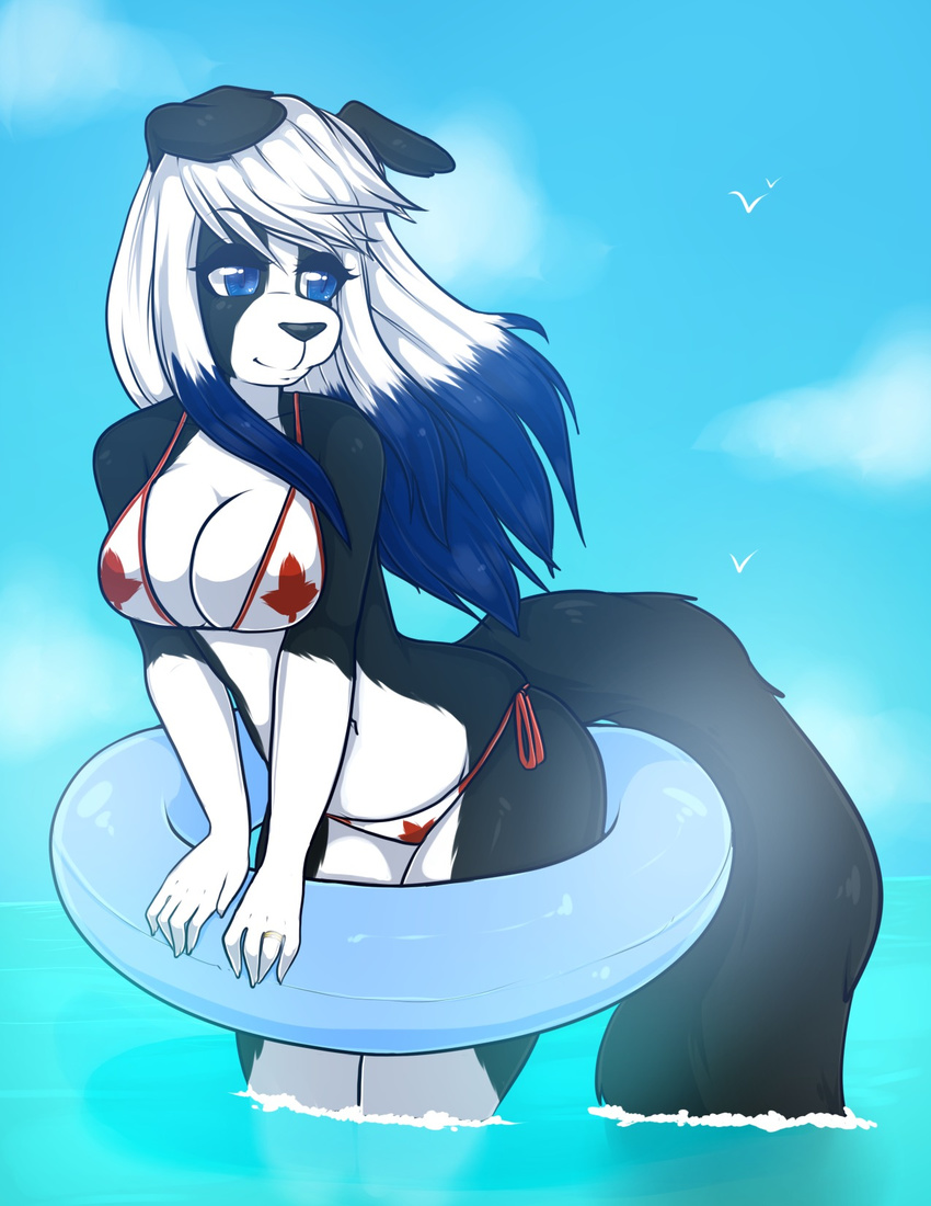 anthro bikini black_fur black_nose blue_eyes blue_hair breasts canada canine clothed clothing darkduck64 dog female fur hair half-closed_eyes janice long_hair mammal outside pool_toy ring sky solo standing swimsuit two_tone_hair water white_fur white_hair zyira