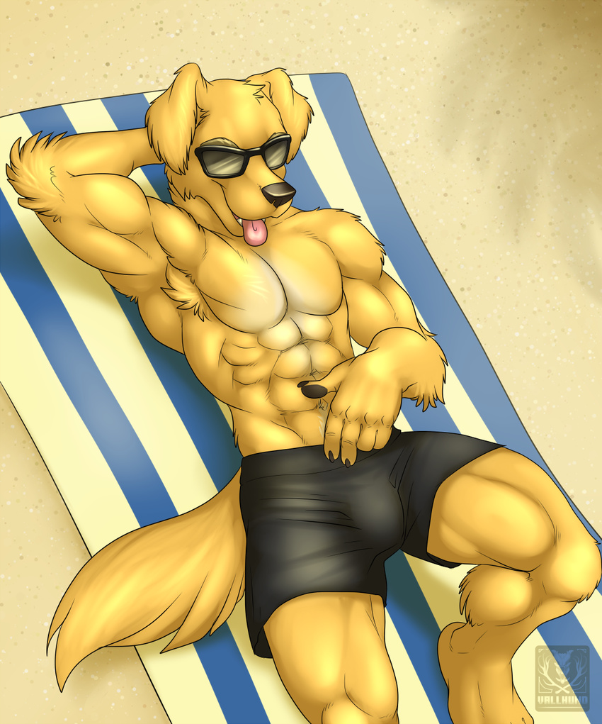 abs anthro armpit_hair armpits biceps big_muscles bulge canine dog eyewear golden_retriever hand_behind_head lying male mammal muscles on_back open_mouth pecs solo sunglasses tongue tongue_out topless vallhund
