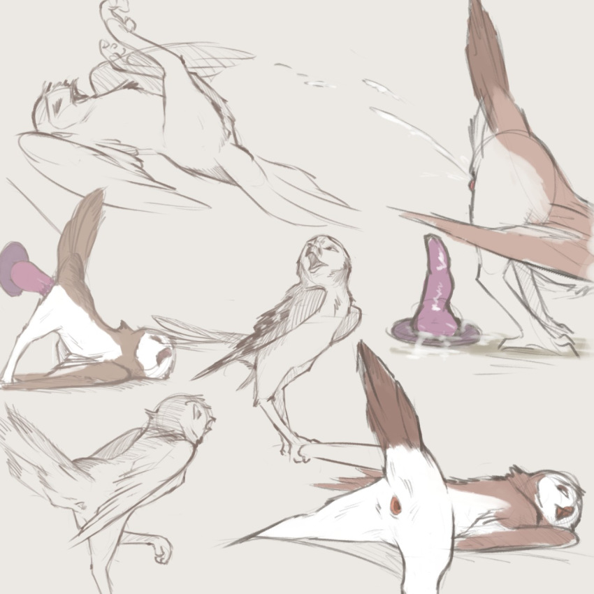 2019 ambiguous_fluids ambiguous_gender animal_genitalia avian beak bird butt cloaca cloacal_penetration digital_media_(artwork) dildo eyes_closed feathered_wings feathers feral looking_back looking_pleasured lying masturbation multiple_poses on_back open_mouth owl penetration perching pose presenting presenting_hindquarters sex_toy simple_background sketch solo talons tuke wings