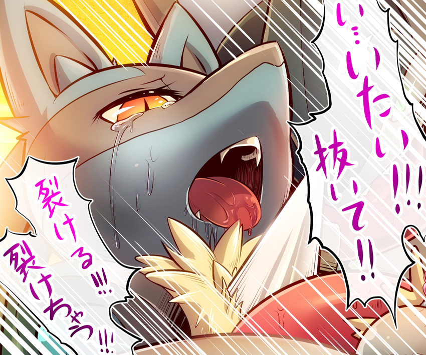 amphibian anthro canine close-up crying dialog drooling duo female frog fur greninja hi_res jackal kicktyan long_tongue looking_down lucario male mammal ninja nintendo open_mouth pok&eacute;mon pok&eacute;monsaliva saliva sex sharp_teeth shiny_pok&eacute;mon slit_pupils snout spikes straight sweat tears teeth text tongue tongue_out translation_request video_games yellow_eyes