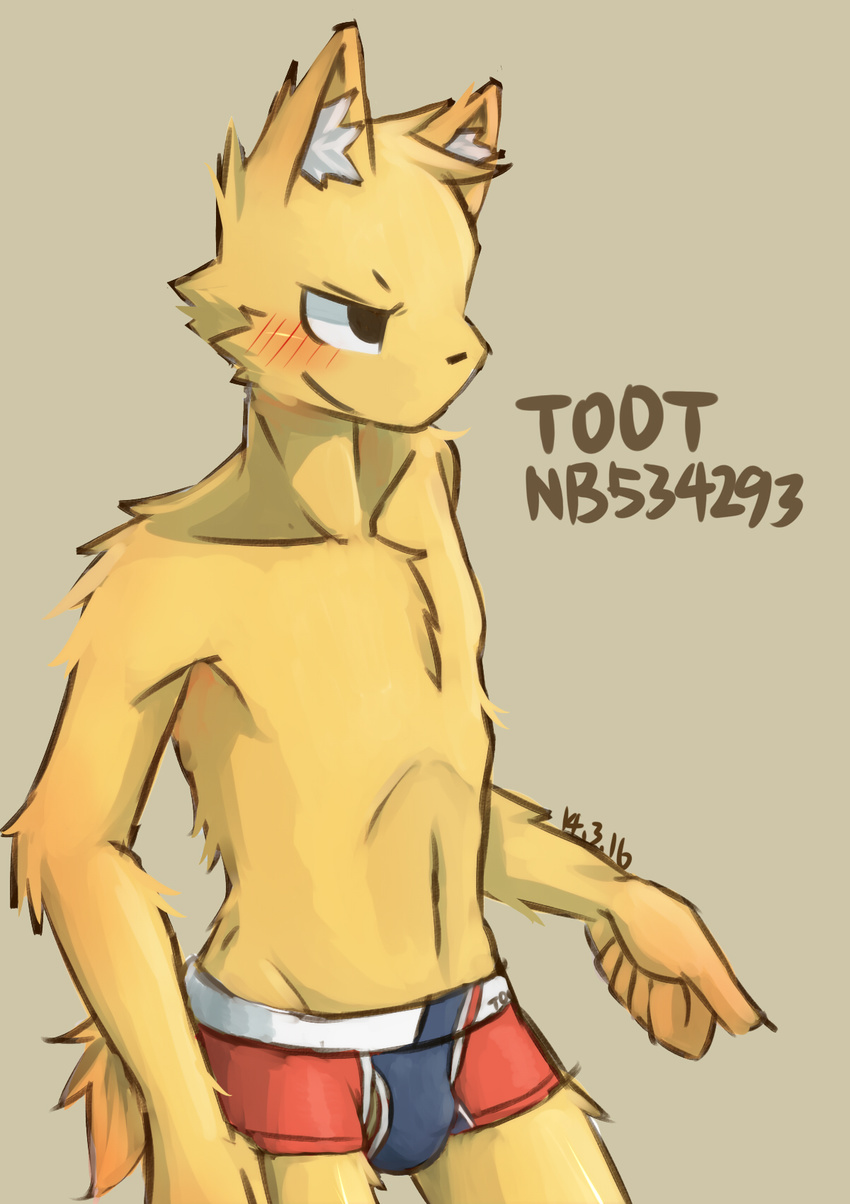 blush bulge canine fox male mammal solo underwear zutabo