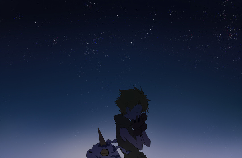 digimon digimon_adventure gabumon gloves harmonica horn instrument ishida_yamato night night_sky rella sky