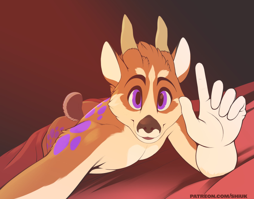 2018 5_fingers anthro antlers bed bed_sheet bedding biped black_eyebrows brown_fur brown_horn brown_nose brown_tail cervine digital_media_(artwork) dutch_angle eyebrows fur hi_res horn humanoid_hands lying male mammal multicolored_fur nude on_bed on_front purple_eyes purple_fur purple_spots red_background selfie shiuk short_tail simple_background smile solo spots spotted_fur tan_fur url