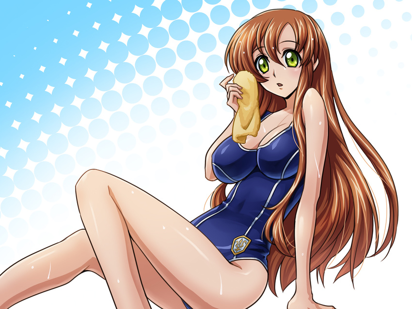 ashford_academy_swimsuit brown_hair code_geass green_eyes highres long_hair long_legs one-piece_swimsuit school_swimsuit shirley_fenette swimsuit wan89