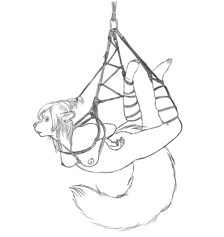 female invalid_tag mammal nude rimefox rope_bondage sketch skunk solo suspension