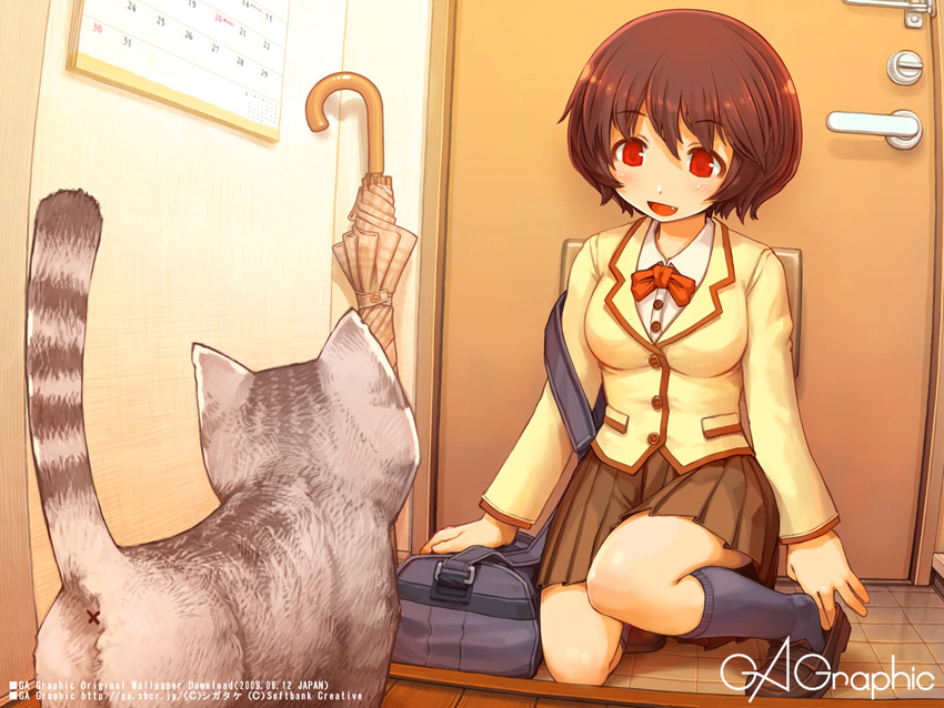 anus bag blush bow bowtie brown_hair calendar_(object) cat closed_umbrella doorway duffel_bag fang gagraphic kneehighs red_eyes school_uniform shigatake short_hair skirt socks solo squatting umbrella wallpaper