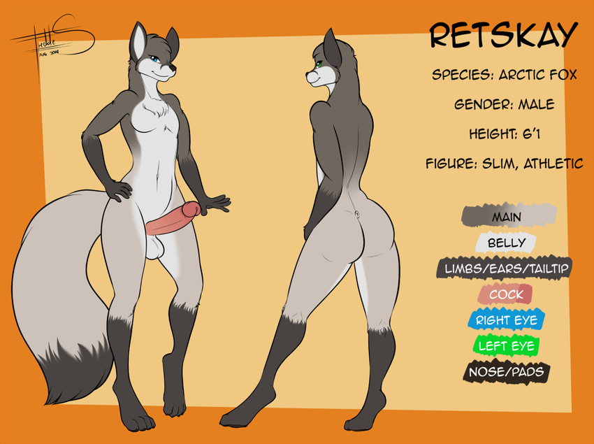 2014 anthro arctic_fox back_turned balls big_butt big_penis blue_eyes butt canine chest_tuft digitigrade erection fluffy_tail fox freckles_(artist) fur girly green_eyes hand_on_hip heterochromia humanoid_penis looking_at_viewer looking_back male mammal model_sheet penis pointy_ears retskay slim smile solo tuft wide_hips