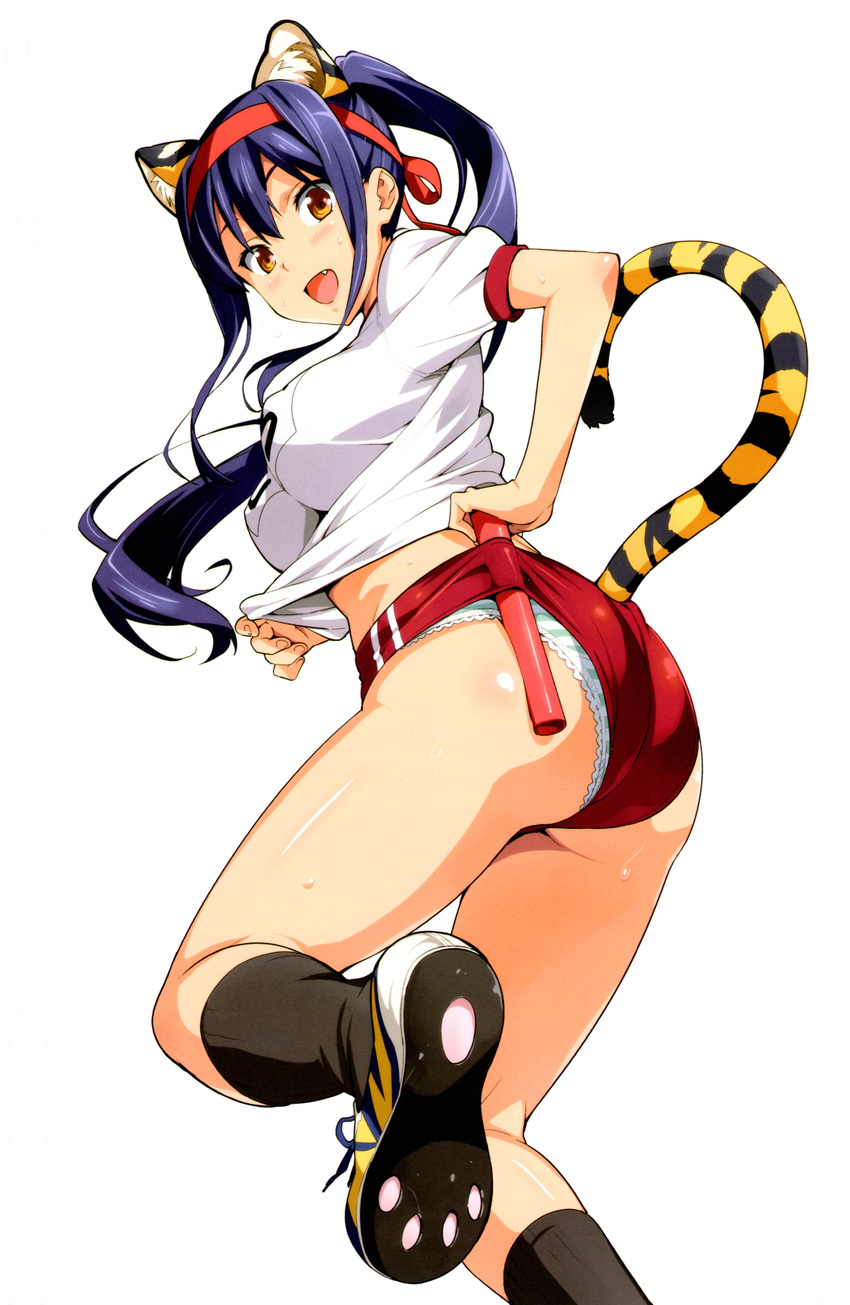 1girl absurdres amaya_haruko animal_ears ass breasts brown_eyes buruma erect_nipples fang hairband highres large_breasts long_hair maken-ki! official_art open_mouth original panties purple_hair solo sweat tail takeda_hiromitsu underwear