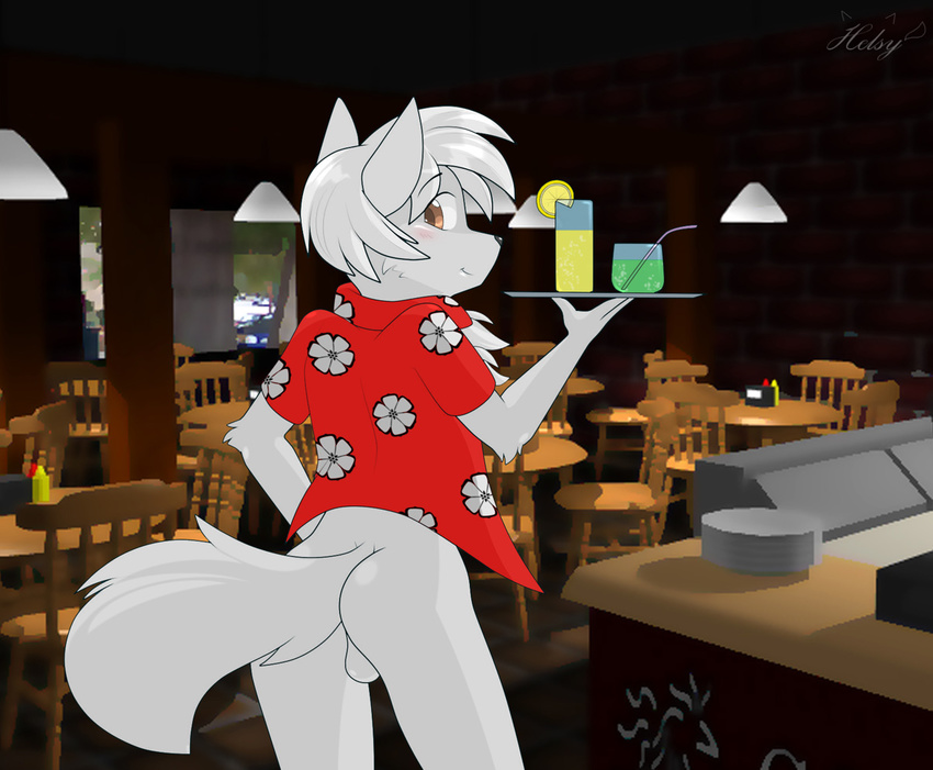 andrew arctic_fox back balls blush bottomless brown_eyes canine chairs claws clothing common_grounds counter drinks flower fox fur hair helsy invalid_color invalid_tag lemon looking_at_viewer male mammal mustard public restaurant shirt solo straw tables tray tuft white_hair