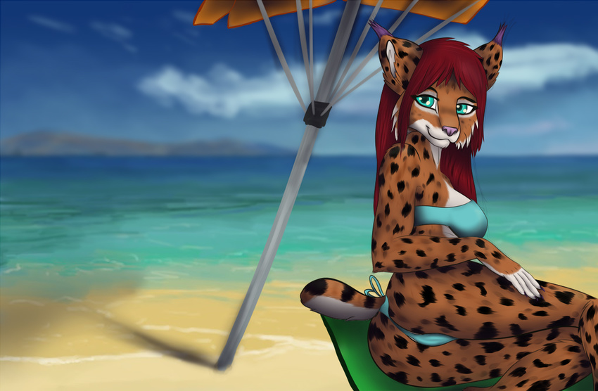 beach bikini blue_eyes cloud detailed_background feline fur hair looking_at_viewer lynx mammal orange_fur parasail red_hair seaside sky swimsuit towel waffles_(artist) water