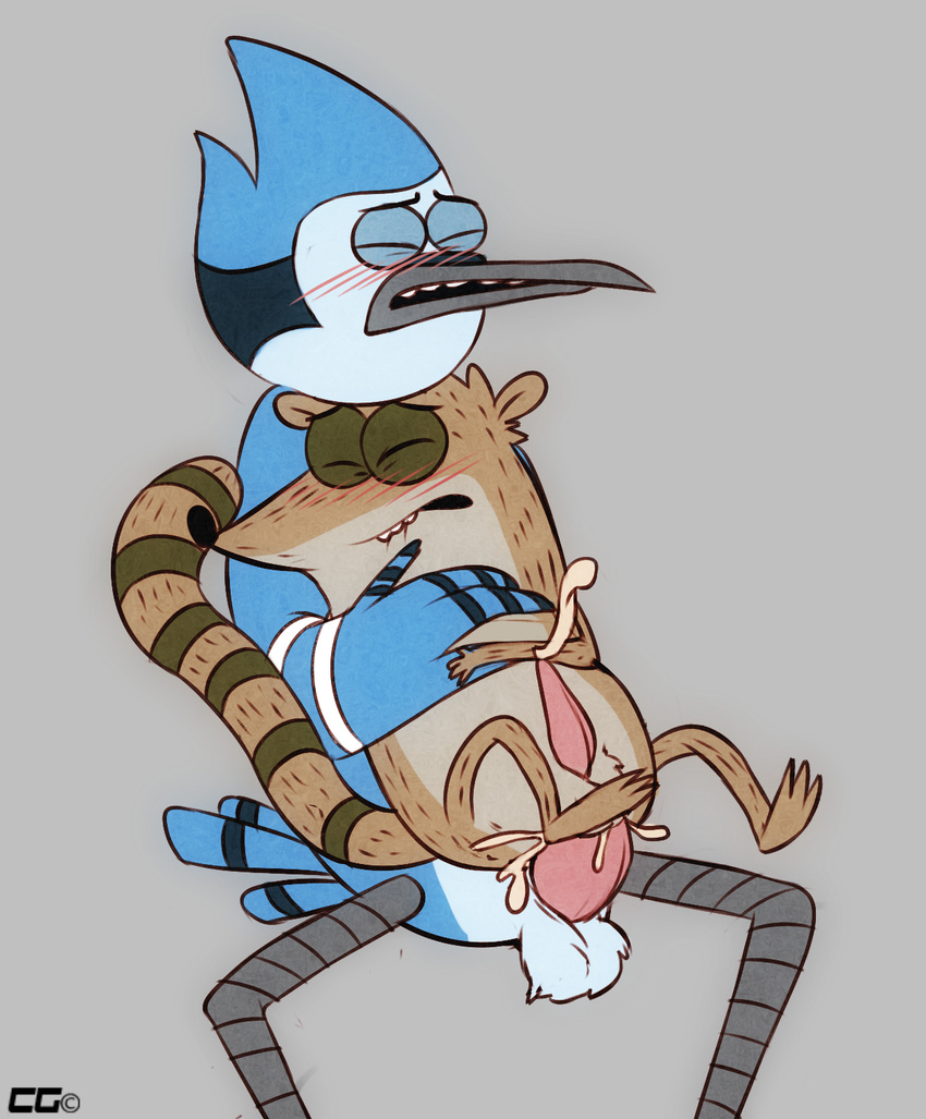 anal anal_penetration avian balls bird blue_jay blush crazedg duo eyes_closed gay male mammal mordecai penetration penis raccoon regular_show rigby