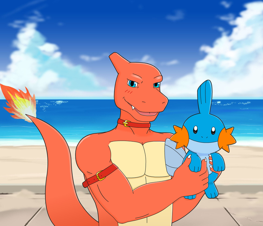 abs beach blue_eyes charmeleon collar cute fire holding meteorsmash mudkip muscles nintendo pok&eacute;mon sand sea seaside straps video_games water