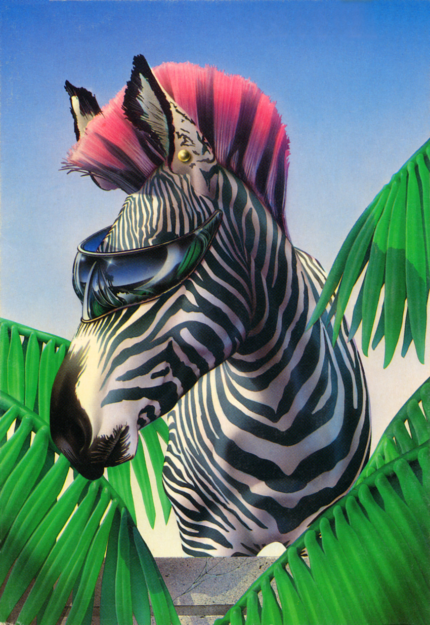 earstud equine eyewear invalid_color mammal mohawk punk sunglasses zebra