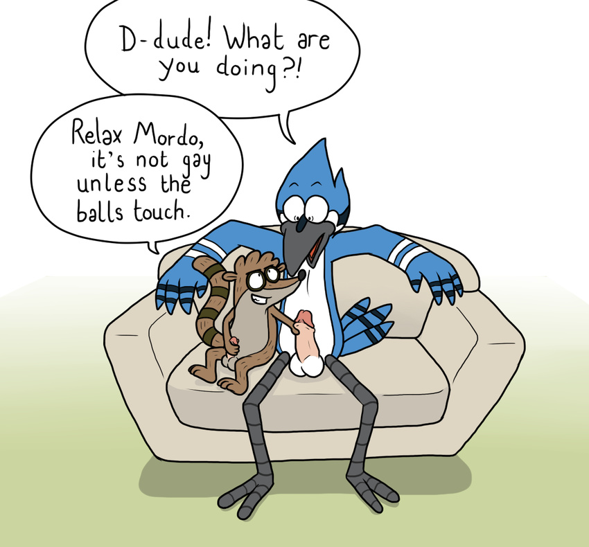 avian balls bird blue_jay blueballs duo gay handjob male mammal masturbation mordecai penis raccoon regular_show rigby sofa