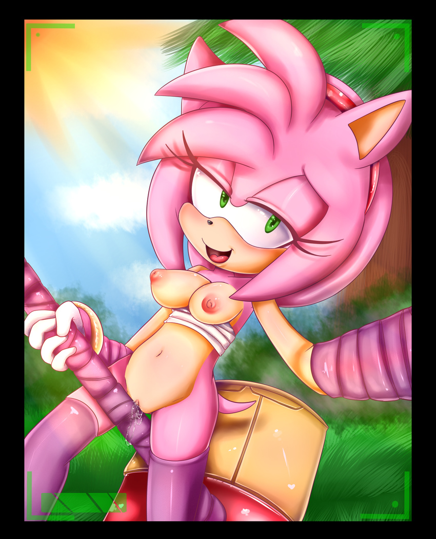 amy_rose breasts female hammer hearlesssoul pussy pussy_juice sega solo sonic_(series) sonic_boom