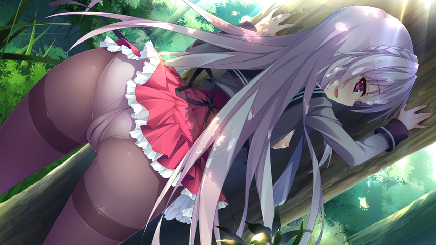 1girl anapom ass blush cum cum_on_hair forest from_behind game_cg highres kitazono_saya legs long_hair looking_back nature open_clothes panties pantyhose pink_eyes purple_hair school_uniform shukufuku_no_kane_no_oto_wa_sakura-iro_no_kaze_to_tomo_ni skirt standing thighs tree trees underwear upskirt