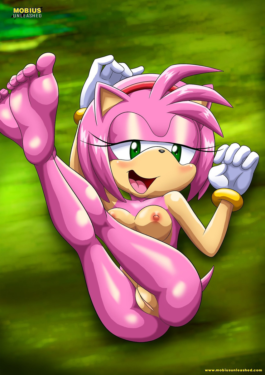 5_toes amy_rose barefoot bbmbbf breasts butt foot_focus hedgehog mammal nude pussy sega smile sonic_(series) toes uncensored