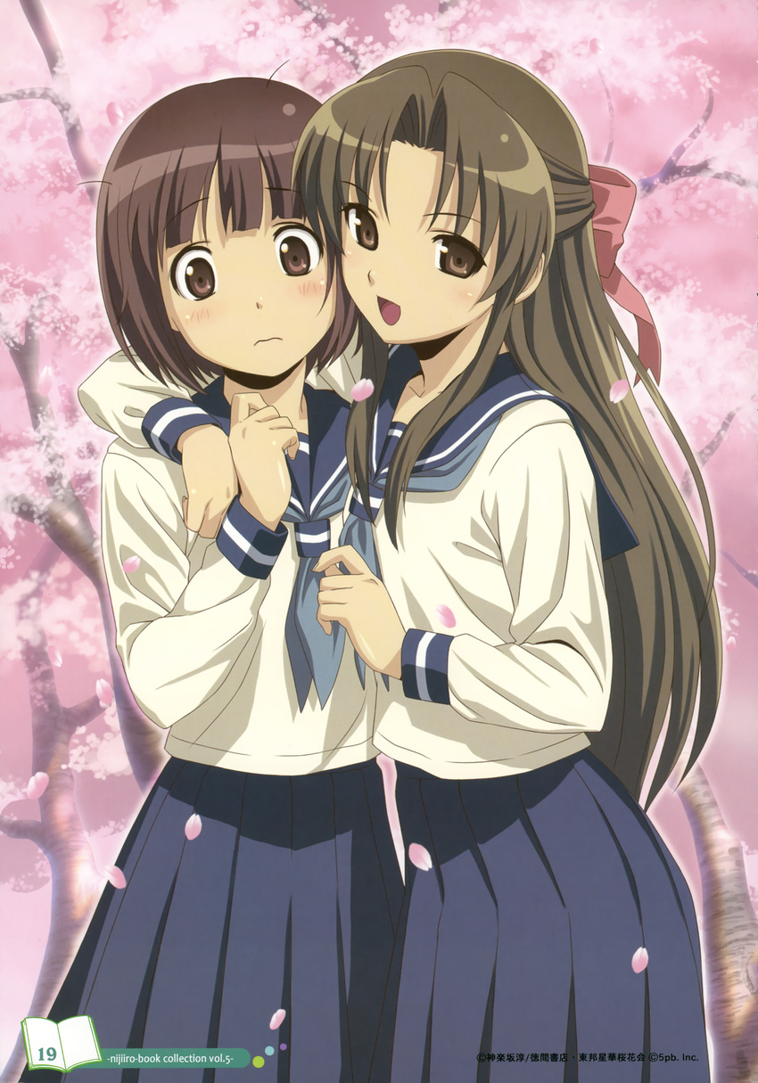 absurdres bob_cut brown_eyes brown_hair cherry_blossoms highres koutaro long_hair multiple_girls ogasawara_akiko petals school_uniform serafuku short_hair suzukawa_koume taishou_yakyuu_musume yuri