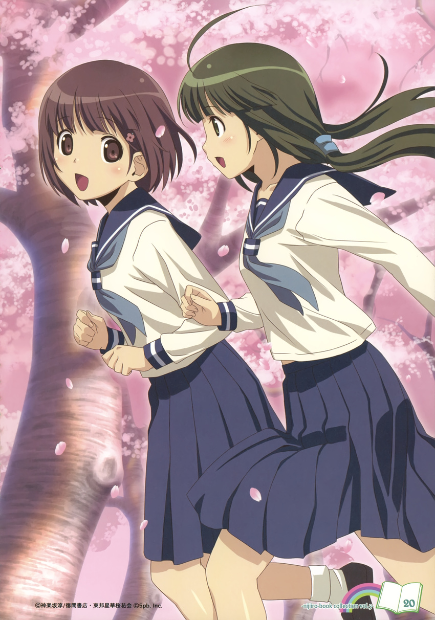 absurdres ahoge bob_cut brown_eyes brown_hair cherry_blossoms hair_ornament hairclip highres kikusaka_kochou koutaro long_hair multiple_girls petals running school_uniform serafuku short_hair suzukawa_koume taishou_yakyuu_musume