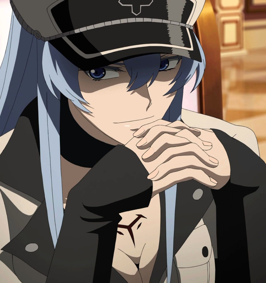 akame_ga_kill! blue_eyes blue_hair esdeath esdese hat long_hair sitting smile solo stitched