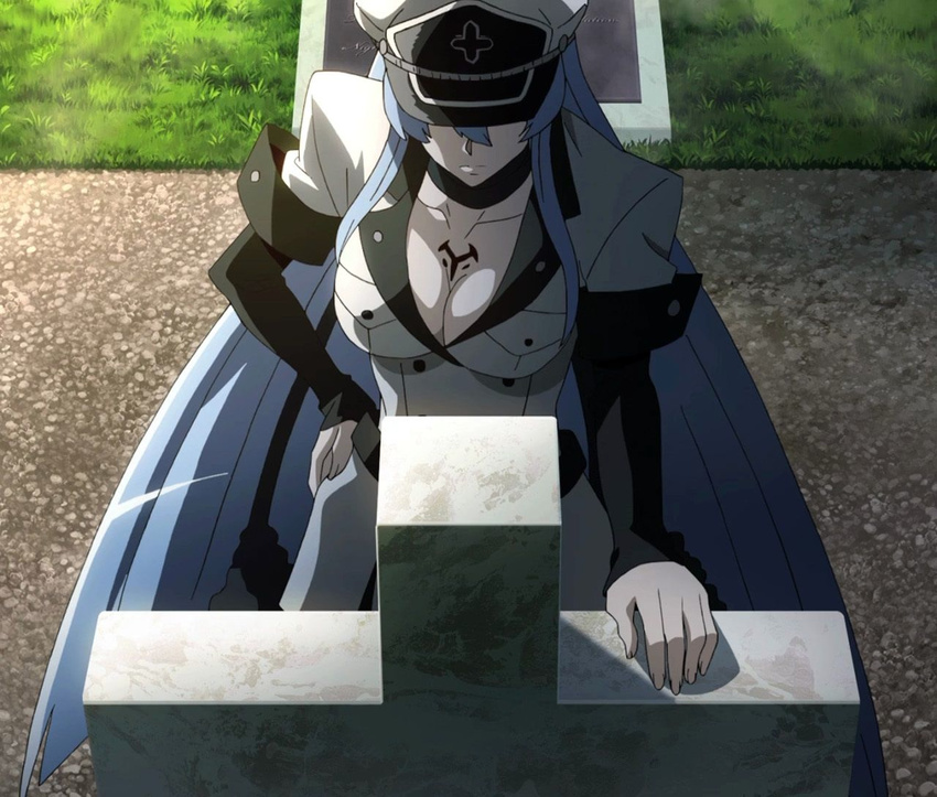 1girl akame_ga_kill! blue_hair breasts esdeath esdese grave hat large_breasts long_hair screencap solo standing stitched tattoo very_long_hair