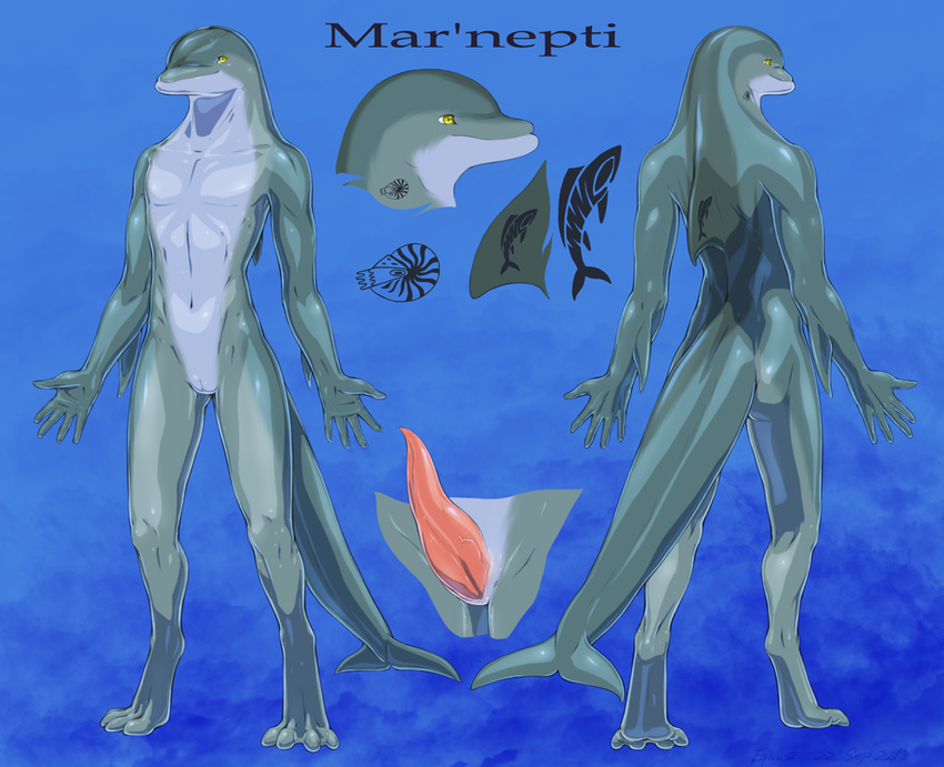 cetacean digitigrade dolphin dorsal_fin equus erection fish five_fingers four_toes genital_slit male mammal marine navel nude penis prehensile_penis reference_page shellfish simple_background slit standing tattoo yellow_eyes