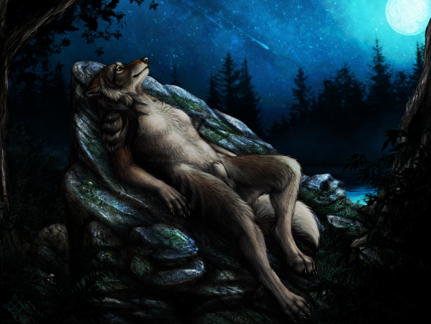 anthro canine darkicewolf flaccid forest fur lying male mammal nude outside penis rock sheath solo stars tree wolf