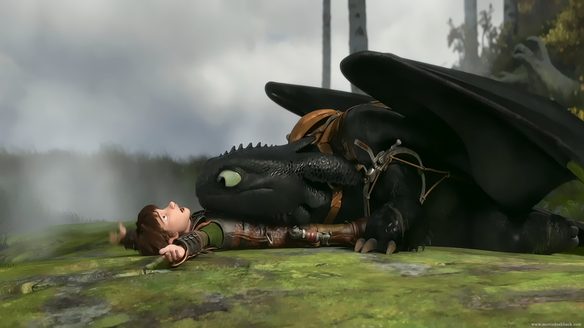 art: hiccup_(character) how_to_train_your_dragon toothless worriz