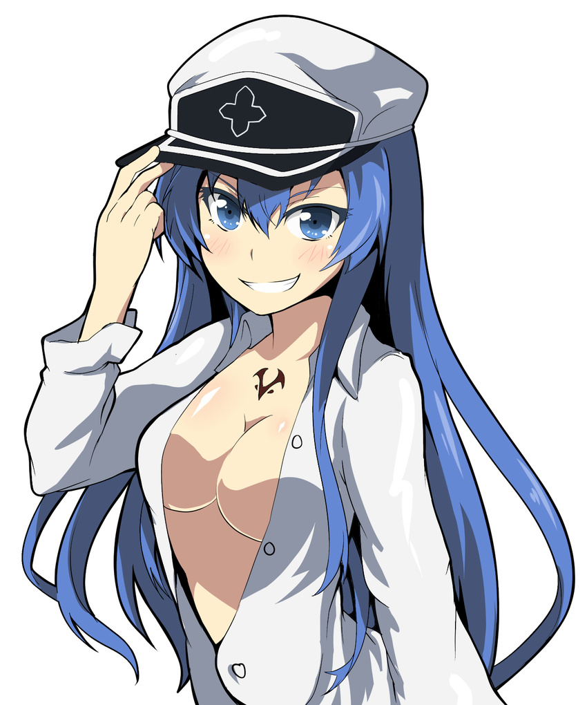 akame_ga_kill! blue_eyes blue_hair blush breasts esdeath grin hat hat_tip highres large_breasts long_hair open_clothes open_shirt shirt smile solo tattoo tom_(drpow) upper_body white_background