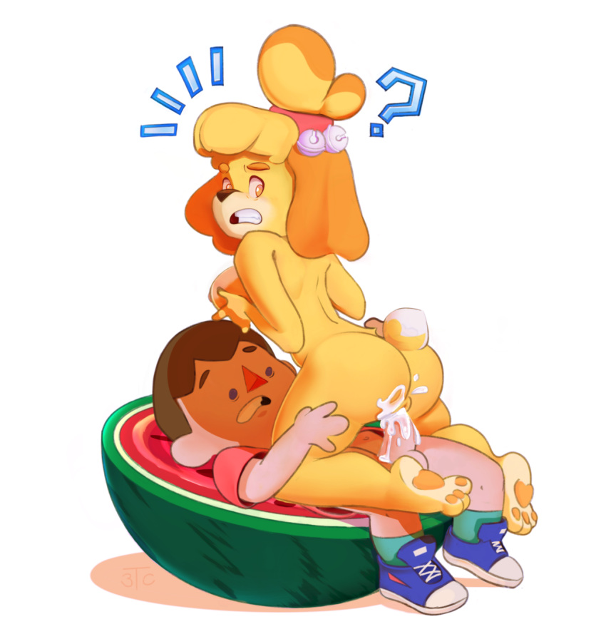 2018 3tc ? animal_crossing anthro balls breasts butt canine clenched_teeth clothed clothing cowgirl_position cum cum_in_pussy cum_inside digital_media_(artwork) dog duo female fur hair hand_on_breast hi_res human human_on_anthro interspecies isabelle_(animal_crossing) lying male male/female male_on_anthro male_penetrating mammal nintendo nude on_back on_top orgasm partially_clothed penetration penis pussy sex shih_tzu simple_background teeth unwanted_cumshot vaginal vaginal_penetration video_games villager_(animal_crossing) white_background