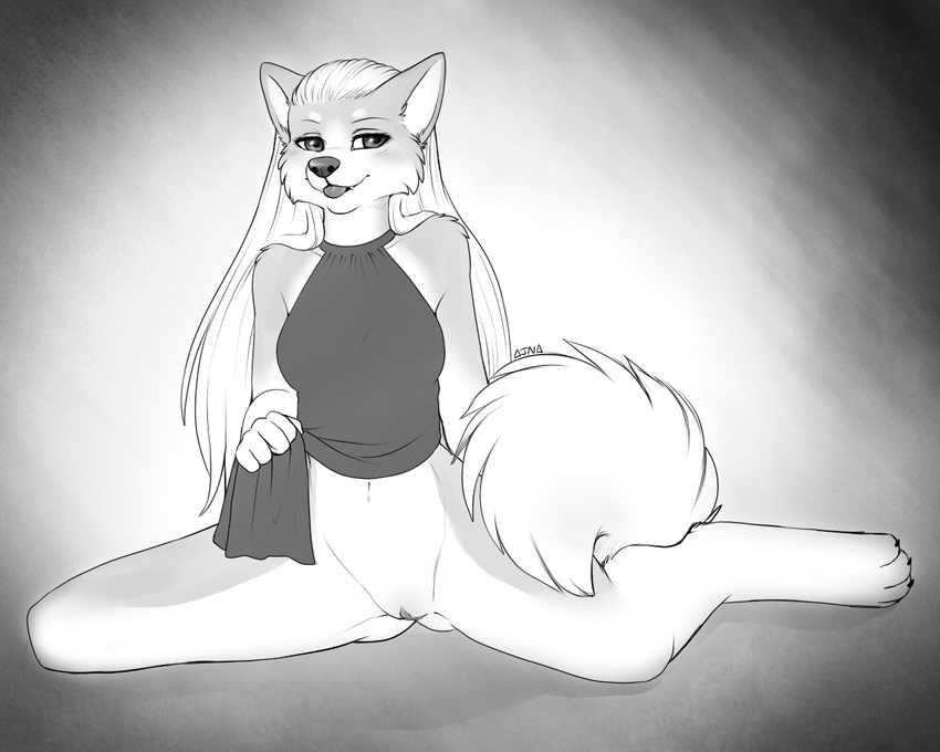 ajna bottomless canine clothed clothing dog female greyscale hair long_hair mammal monochrome pussy skimpy solo tongue tongue_out