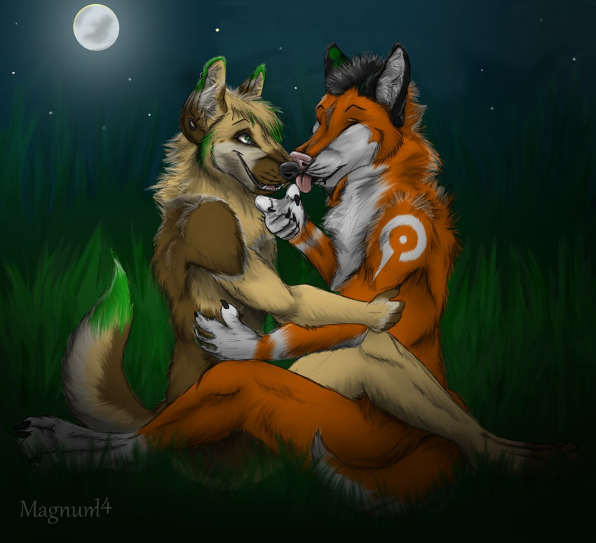 canine dog field fox german_shepherd grass kissing licking magnum_(artist) mammal moon moonlight piercing stars tongue