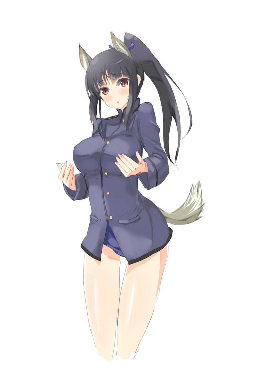 :o animal_ears black_hair blush breasts brown_eyes cowboy_shot hattori_shizuka highres large_breasts long_hair looking_at_viewer military military_uniform oi_ke ponytail school_swimsuit solo strike_witches swimsuit swimsuit_under_clothes tail uniform white_background world_witches_series