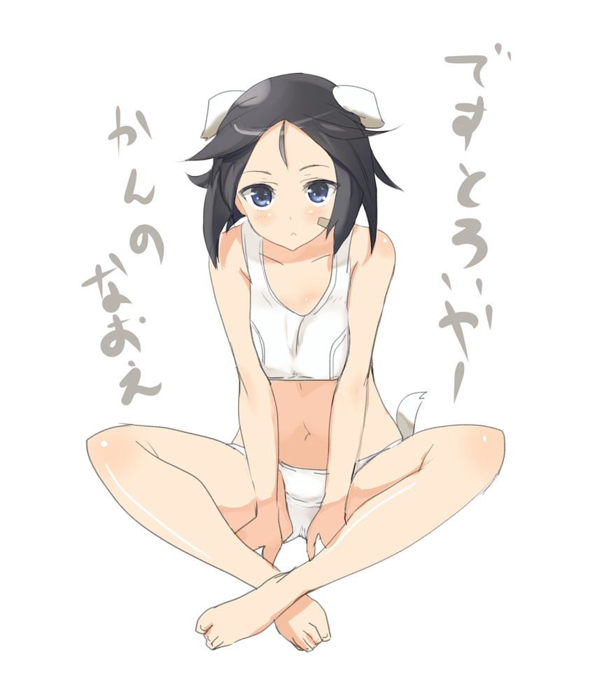:&lt; animal_ears bandaid bandaid_on_face bare_legs barefoot black_hair blush brave_witches full_body highres indian_style kanno_naoe looking_at_viewer navel oi_ke panties short_hair simple_background sitting solo sports_bra tail underwear underwear_only white_background white_panties world_witches_series