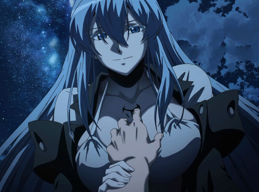 1girl akame_ga_kill! blue_eyes blue_hair breasts cleavage colored_eyelashes esdeath esdese highres large_breasts long_hair night smile square_enix stitched