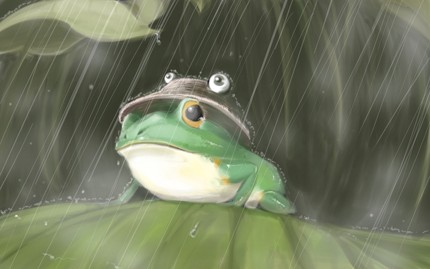 animalization frog hat leaf moriya_suwako moriya_suwako_(frog) no_humans rain retasu touhou wallpaper