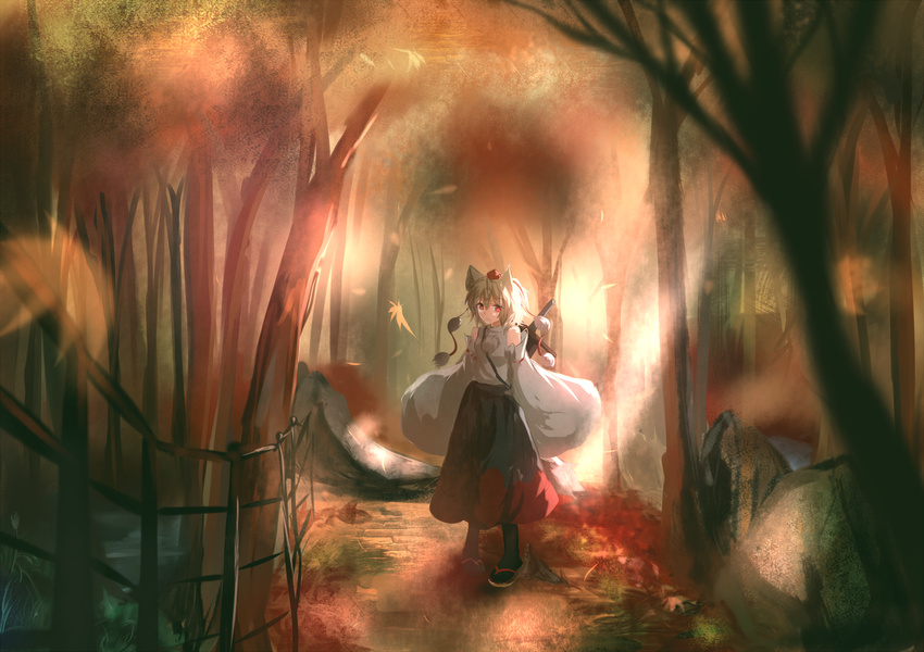 animal_ears autumn autumn_leaves bare_shoulders blurry depth_of_field detached_sleeves fence forest hat hat_ribbon hizagawa_rau inubashiri_momiji long_sleeves looking_at_viewer nature path red_eyes ribbon road shirt silver_hair skirt solo sword tail tokin_hat touhou weapon wide_sleeves wolf_ears wolf_tail