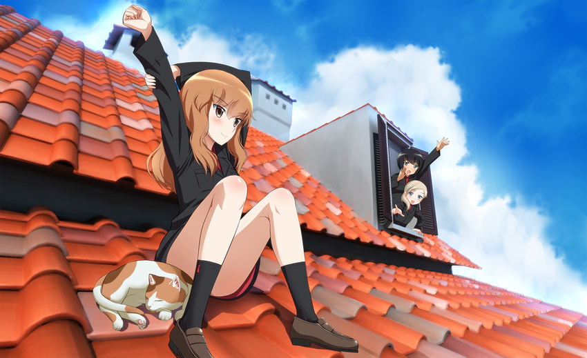 :d :o arm_up arms_up black_hair black_legwear blonde_hair blue_eyes blush body_blush brown_eyes brown_hair building cat clenched_hand cloud convenient_leg day fernandia_malvezzi kaneko_(novram58) knee_blush loafers long_hair looking_at_another luciana_mazzei martina_crespi multiple_girls open_mouth outdoors outstretched_arm pointing raised_fist rooftop shoes short_hair side_ponytail sitting sky smile socks stretch strike_witches tile_roof uniform window world_witches_series