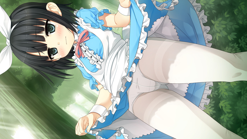 alice_(wonderland) alice_(wonderland)_(cosplay) aqua_eyes arishima_alice black_hair blush cosplay crotch_seam cura day dutch_angle embarrassed game_cg highres monobeno official_art outdoors panties panties_under_pantyhose pantyhose short_hair short_sleeves skirt skirt_lift solo tears thighband_pantyhose underwear white_legwear white_panties wrist_cuffs