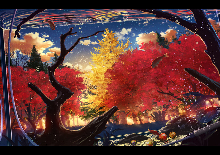 autumn_leaves bubble bush cloud cola_(gotouryouta) dutch_angle fish fish_tank letterboxed marble no_humans original plant ripples scenery sky star_(sky) sunset tree water window