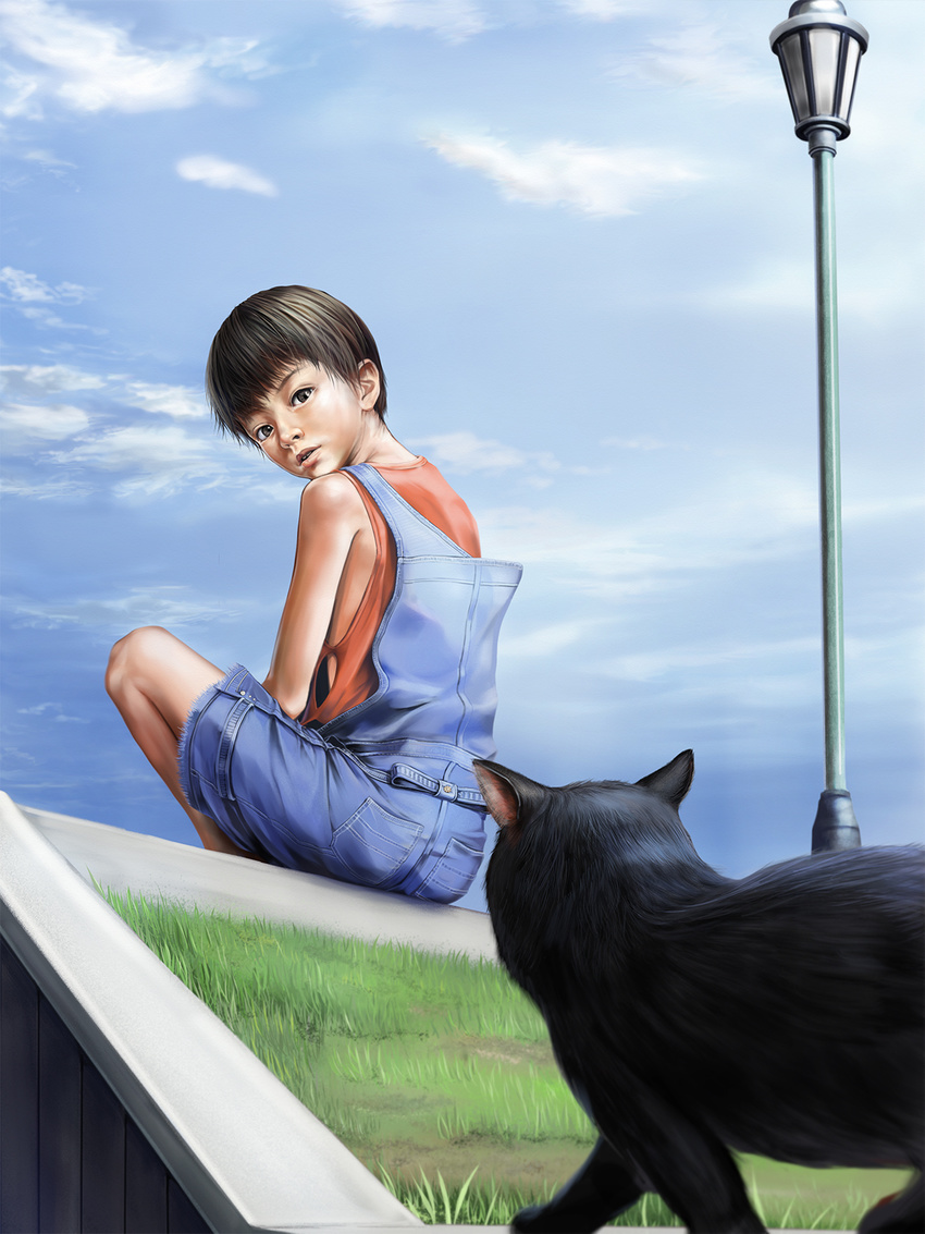 1boy blue_sky cat child grass japanese male male_focus original outdoors realistic sitting sky solo summer to1989