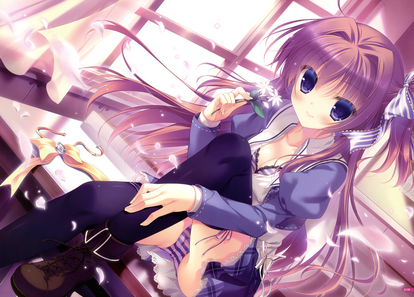 absurdres ankle_boots azuse_matsuri boots bra breasts brown_hair cleavage curtains dutch_angle flower hair_intakes highres huge_filesize indoors kimi_e_okuru_sora_no_hana legs long_sleeves medium_breasts open_clothes open_shirt panties pantyshot pantyshot_(sitting) petals purple_bra purple_eyes purple_legwear purple_panties school_uniform shirt sitting striped striped_bra striped_panties table thighhighs underwear wind window yukie_(peach_candy)