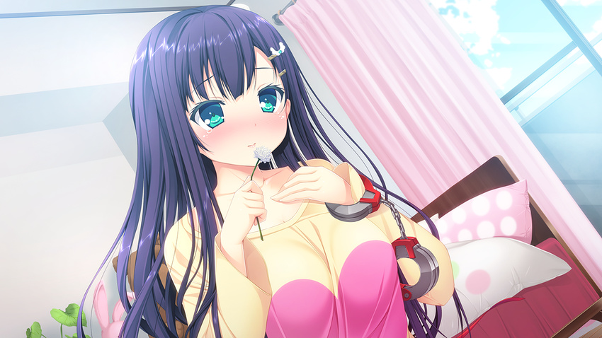 bed blush breasts cuffs curtains game_cg green_eyes hair_ornament hairclip harvest_overray highres large_breasts long_hair looking_away nironiro ouno_sumi pillow purple_hair sad solo tears usume_shirou window