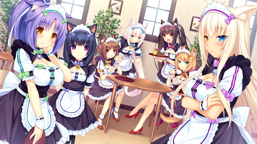 :3 animal_ears apron azuki_(sayori) black_hair blonde_hair blue_eyes blush breasts brown_eyes brown_hair cat_ears chocola_(sayori) cinnamon_(sayori) cleavage cleavage_cutout coconut_(sayori) crossed_arms crossed_legs fake_animal_ears game_cg green_eyes grin heterochromia high_heels large_breasts long_hair maid maid_headdress maple_(sayori) minazuki_shigure multiple_girls name_tag nekopara odd_one_out pantyhose platinum_blonde_hair purple_eyes purple_hair sayori sidelocks sitting smile twintails vanilla_(sayori) very_long_hair white_hair wrist_cuffs yellow_eyes