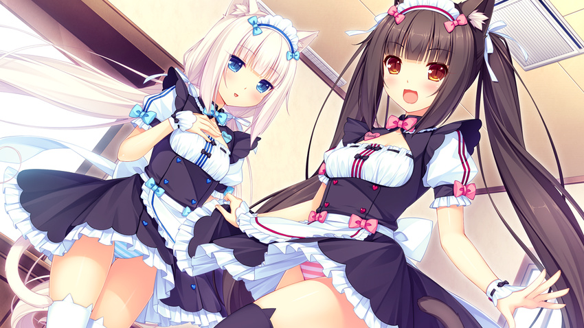 animal_band_legwear animal_ears apron black_hair blue_eyes blush brown_eyes cat_band_legwear cat_ears cat_tail chocola_(sayori) hair_ornament hair_ribbon long_hair looking_at_viewer maid maid_apron multiple_girls nekopara panties pantyshot pantyshot_(standing) ribbon sayori shiny shiny_hair standing striped striped_panties tail thighhighs twintails underwear vanilla_(sayori) very_long_hair white_legwear