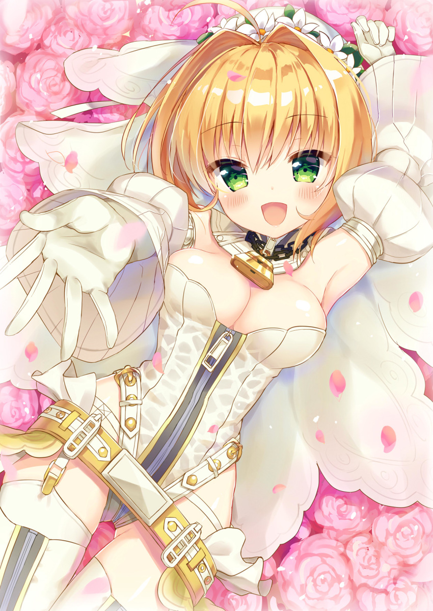 fate/extra fate/extra_ccc fate/grand_order fate/stay_night saber_bride saber_extra