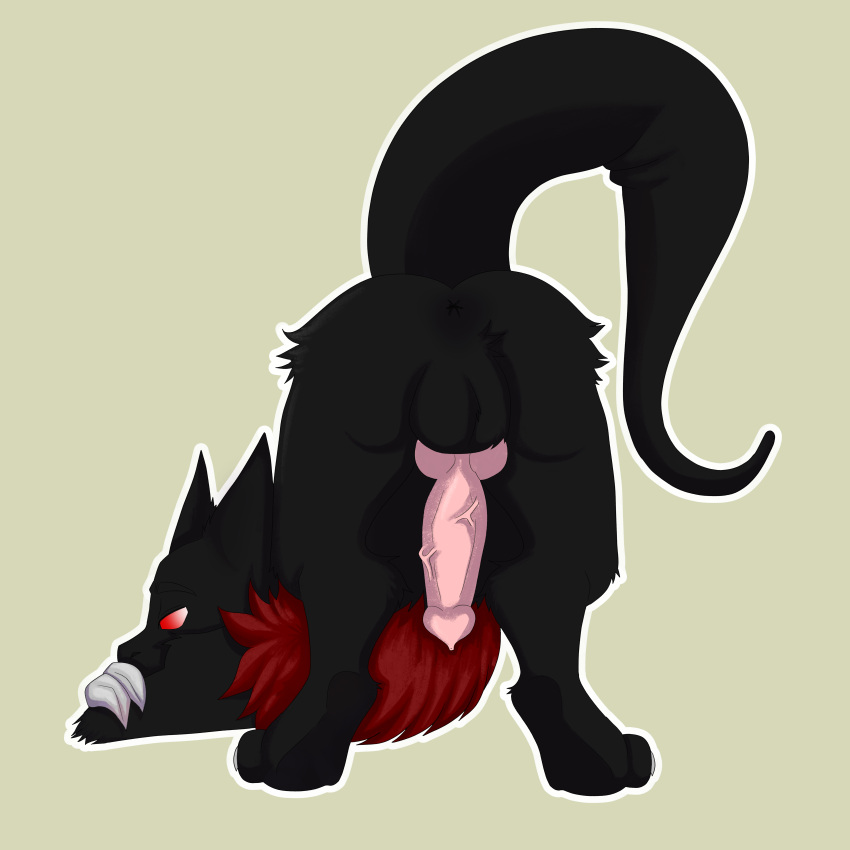 absurd_res anthro anus ass_up black_body black_fur butt erection floraldeath fur hi_res jack-o'_pose knot looking_back male pose rogue_(kyo) solo wickerbeast