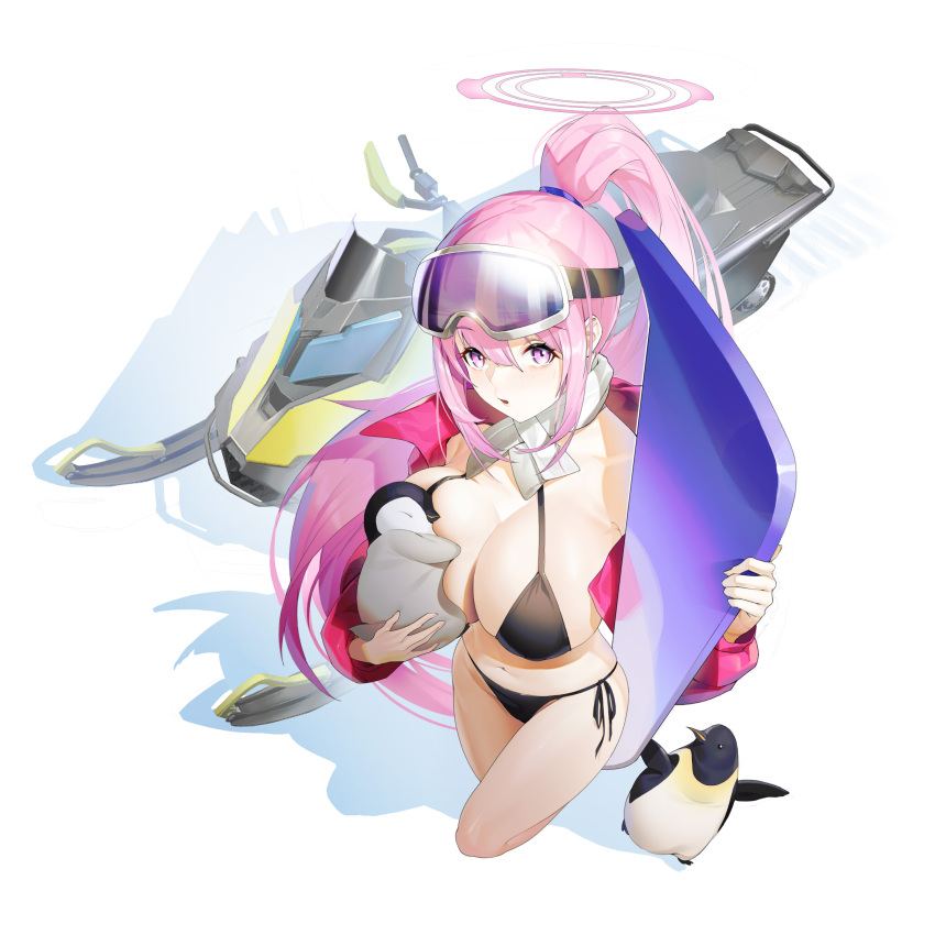 1girl absurdres baby_penguin bikini bird black_bikini blue_archive breast_press breasts eimi_(blue_archive) goggles goggles_on_head halo high_ponytail highres large_breasts long_hair looking_at_viewer najiu_jiao_xiaolan_ba open_mouth penguin pink_eyes pink_hair snowboard solo stomach swimsuit very_long_hair