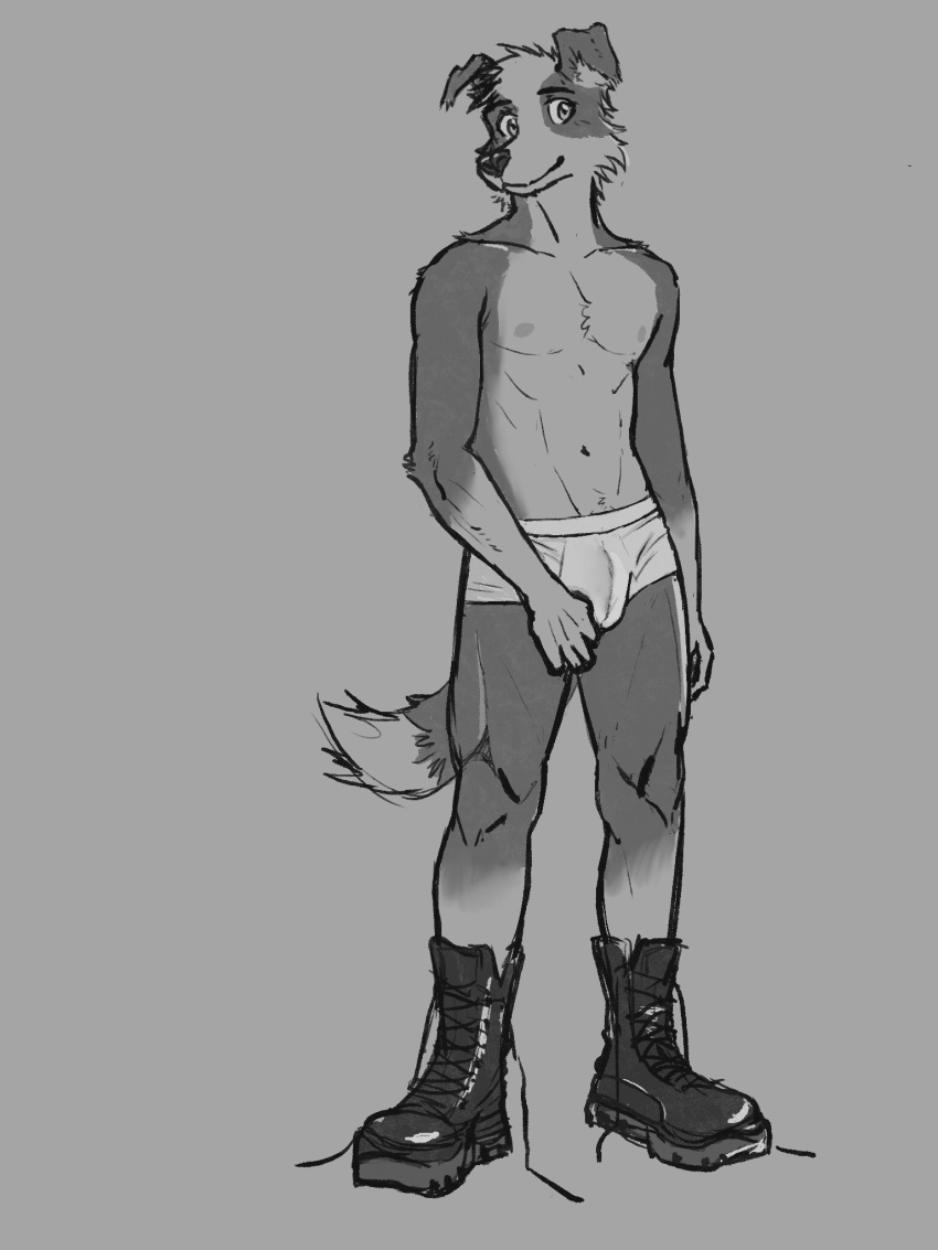 anthro black_nose boots briefs brriefs bulge canid canine canis clothing domestic_dog drdalefox footwear grey_background greyscale hi_res male mammal monochrome navel nipples shoelaces simple_background smile solo underwear white_briefs white_clothing white_underwear