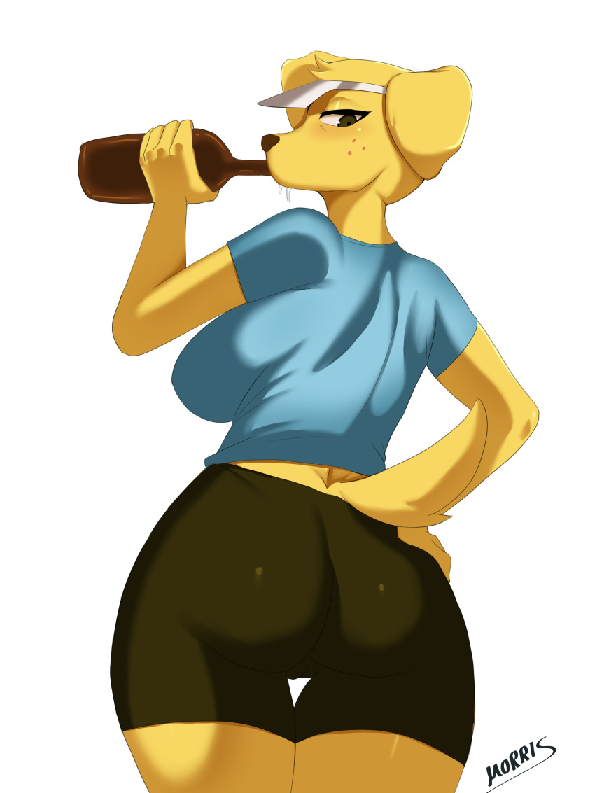 2023 5_fingers absurd_res alcohol anthro beverage big_breasts bike_shorts bird_dog black_bottomwear black_clothing black_eyeliner black_shorts blue_clothing blue_shirt blue_t-shirt blue_topwear blush bottle bottomwear breasts brown_eyes brown_nose butt button_ears canid canine canis clothed clothed_anthro clothed_female clothing container domestic_dog drinking drinking_alcohol female fingers floppy_ears freckles freckles_on_face fur gassy's_gas_'n_stuff half-closed_eyes hand_on_hip hat head_tuft head_turned headgear headwear hi_res holding_bottle holding_container holding_object hunting_dog labrador looking_at_viewer looking_back looking_back_at_viewer looking_down looking_down_at_viewer low-angle_view lulu_(gassy's_gas_'n_stuff) mammal morris_(artist) narrowed_eyes rear_view retriever shirt shorts signature simple_background snout solo t-shirt tail thigh_gap tight_bottomwear tight_clothing tight_shorts topwear tuft visor_cap white_background white_clothing white_hat white_headwear yellow_body yellow_fur yellow_tail
